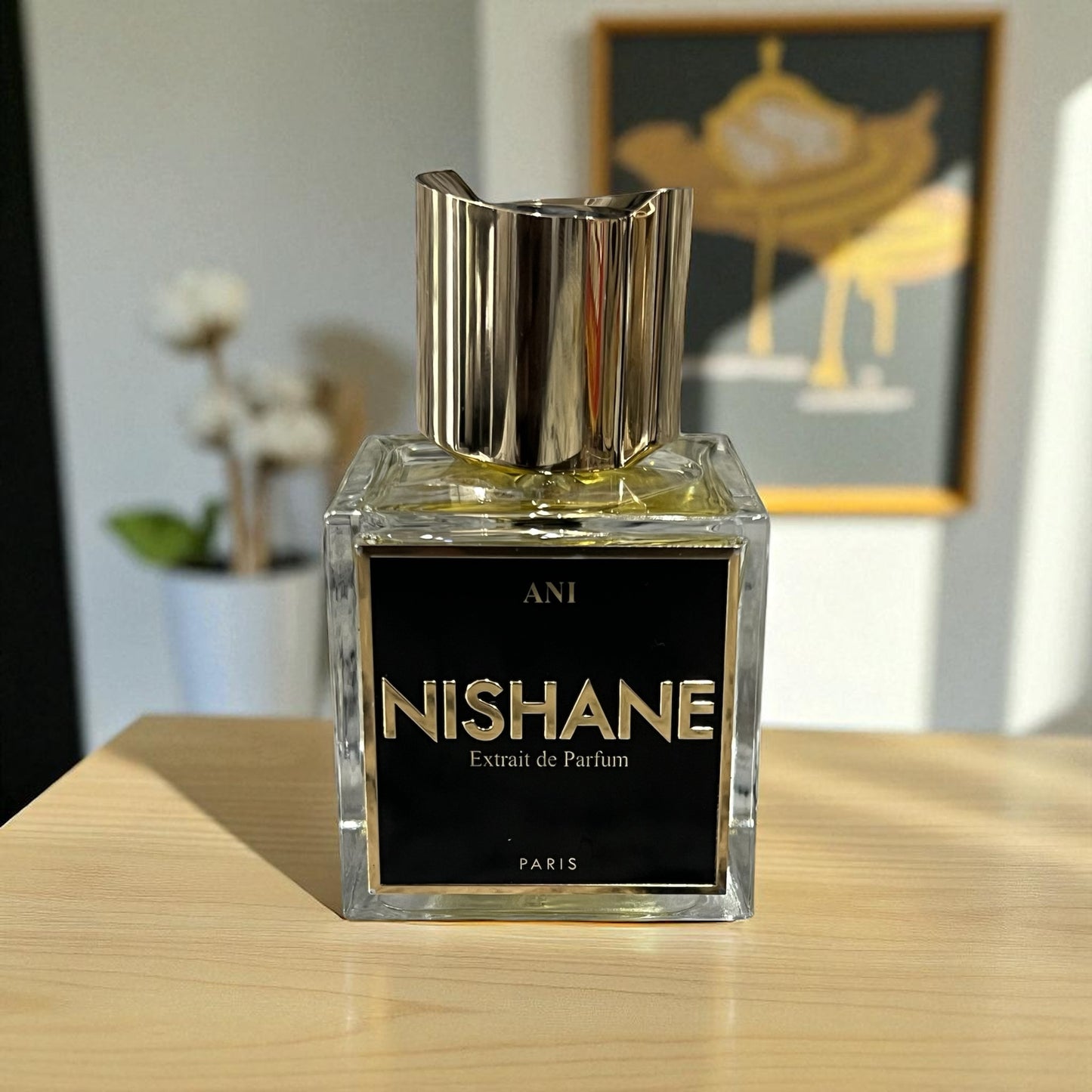 Nishane Ani